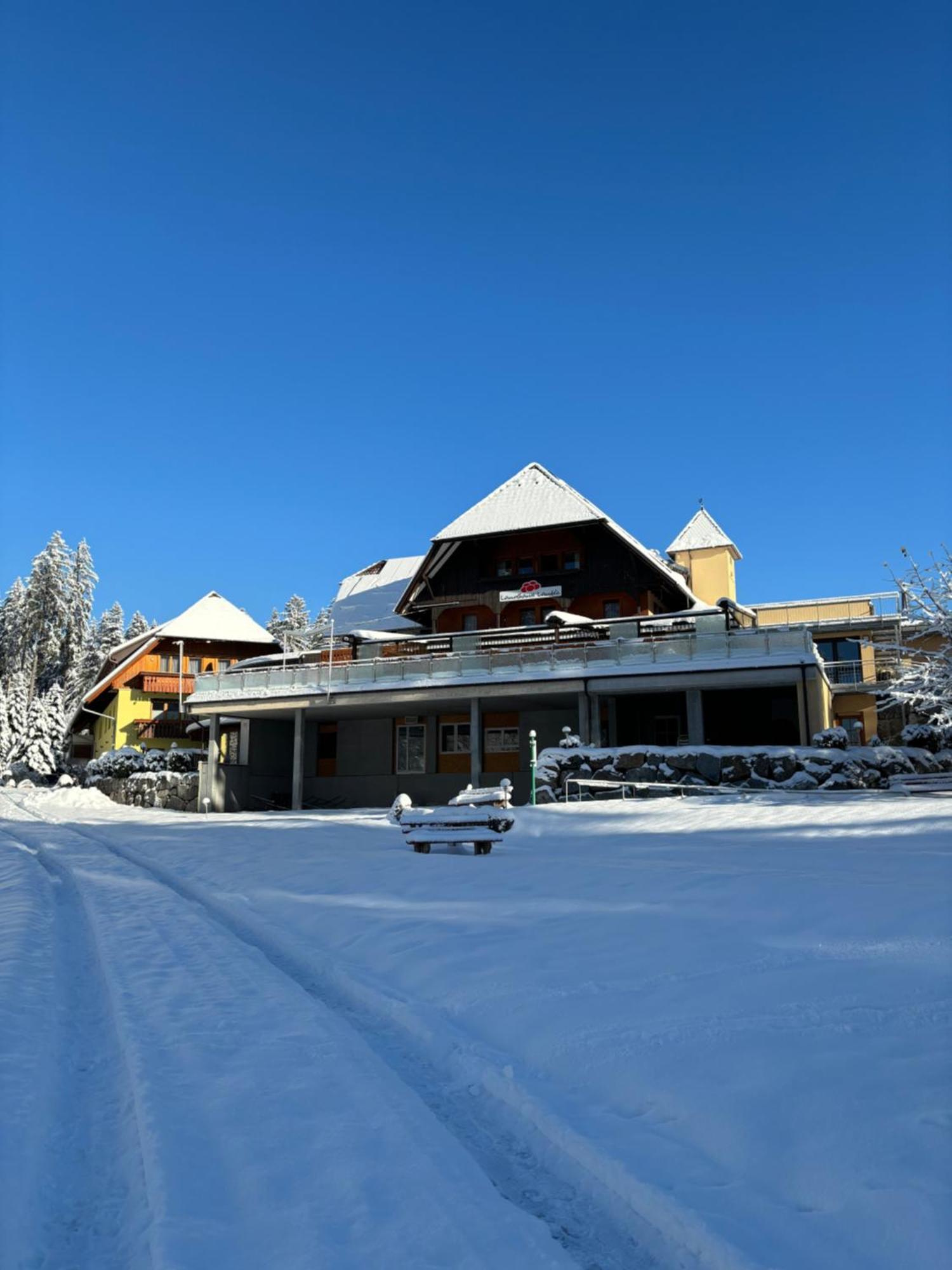 Landhaus Lauble Hornberg Exterior foto